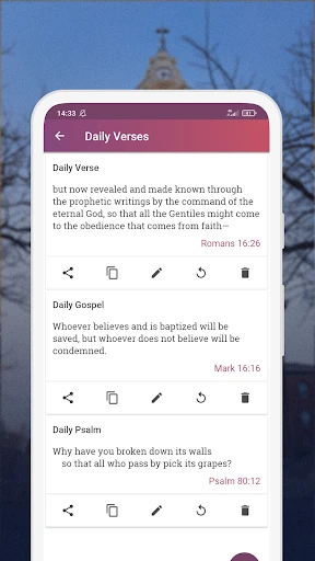 NIV Bible version, Offline app screenshot