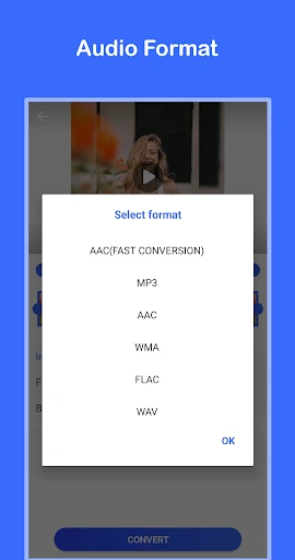 Video to MP3 Convert screenshot