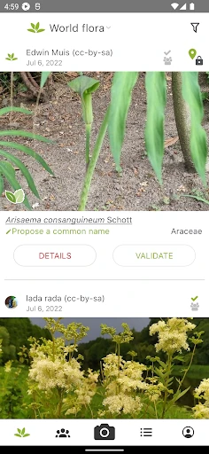 PlantNet Plant Identification screenshot
