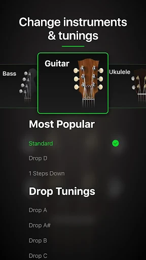 Guitar Tuner Pro: Music Tuning screenshot