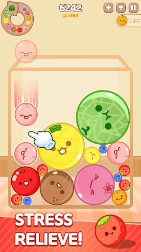 Melon Maker : Fruit Game screenshot