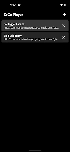 ZoZo Player - URL Video Player screenshot
