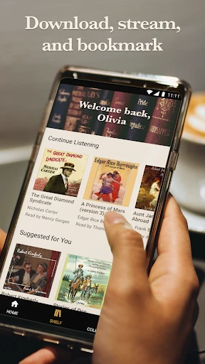 LibriVox Audio Books screenshot