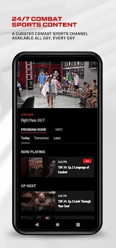 UFC screenshot