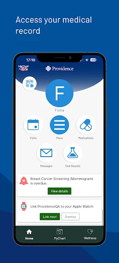 Providence screenshot