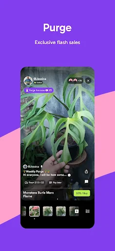 Palmstreet - Live shopping screenshot