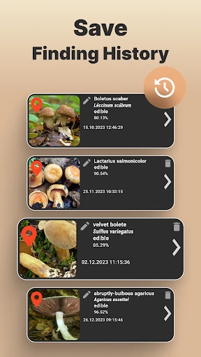 Mushroom Identification screenshot