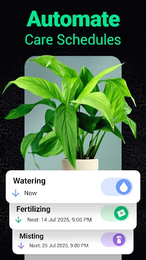 Plantum - Plant Identifier screenshot