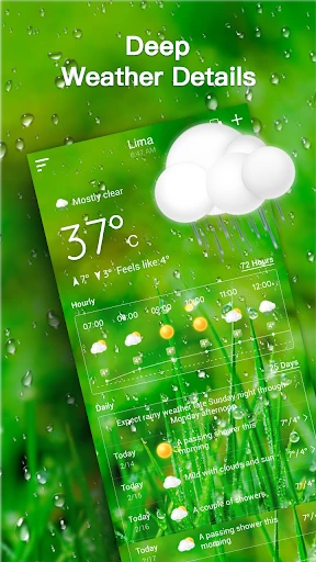 Live Weather Forecast screenshot