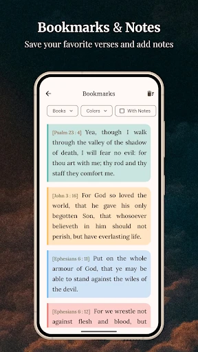 King James Bible (KJV) screenshot