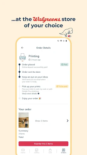 Picta x Walgreens Photo Print screenshot