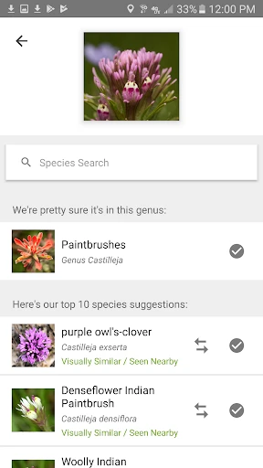 iNaturalist screenshot