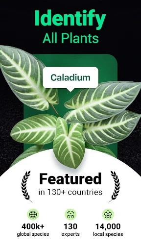 Plantum - Plant Identifier screenshot