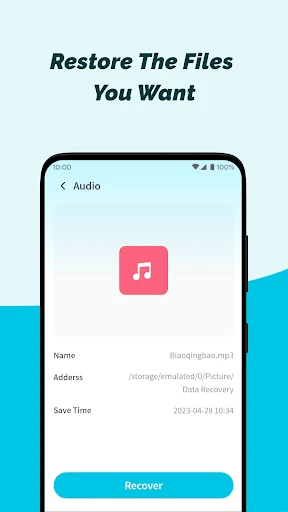 Phone File Recovery screenshot