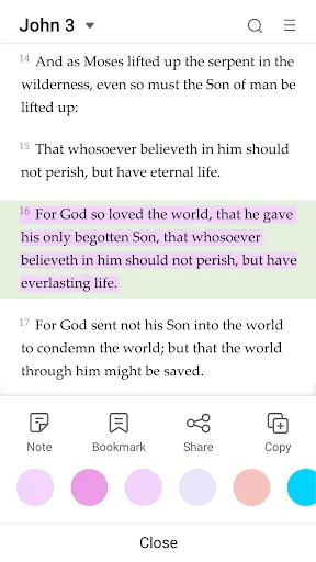 King James Bible - Verse+Audio screenshot