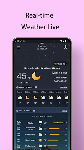 Local Weather Forecast - Radar screenshot