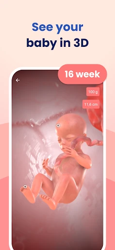 HiMommy: Ovulation & Pregnancy screenshot