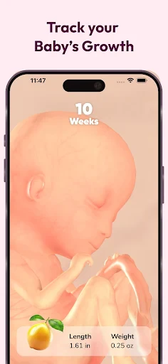 WeMoms Pregnancy Baby Tracker screenshot