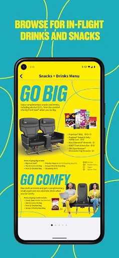 Spirit Airlines screenshot