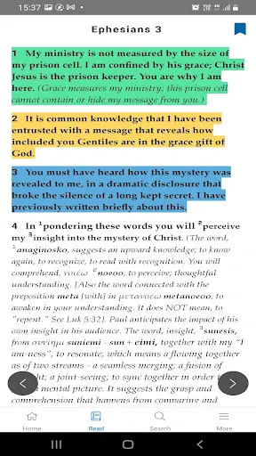 Mirror Study Bible screenshot