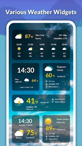 Live weather: Forecast, widget screenshot