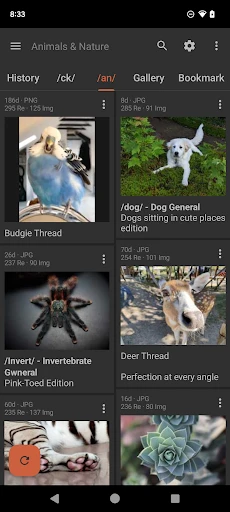Read Chan (Paid), 4chan Reader screenshot