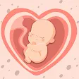 HiMommy: Ovulation & Pregnancy icon