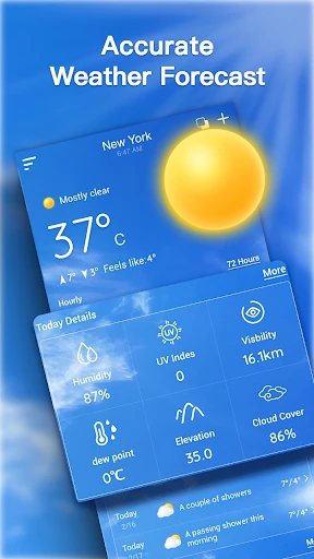 Live Weather Forecast screenshot