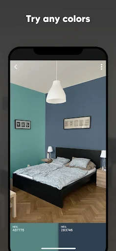 Paint my Room - Try wall color screenshot