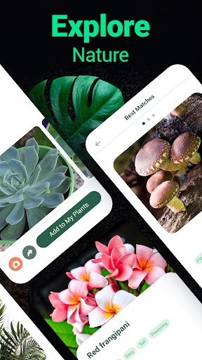 Plantum - Plant Identifier screenshot