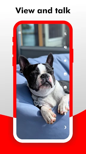 Camy — Live Video CCTV screenshot