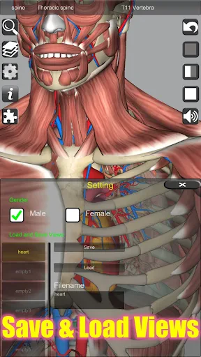 3D Anatomy screenshot