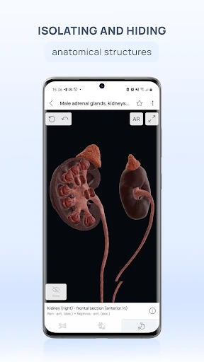 VOKA 3D Anatomy and Physiology screenshot