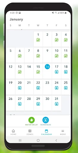 Rachio screenshot