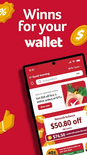 Winn-Dixie screenshot