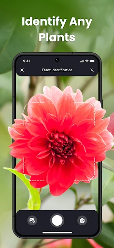 PlantIn Plant Identifier, Care screenshot