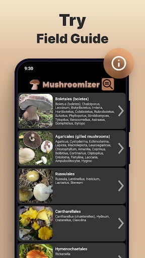 Mushroom Identification screenshot