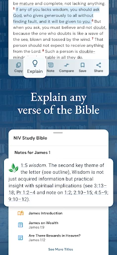 NIV Bible screenshot