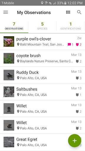 iNaturalist screenshot