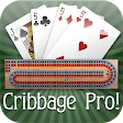 Cribbage Pro Online! icon