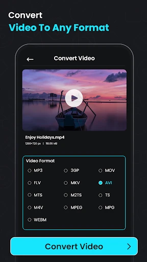 Video Compressor & Converter screenshot