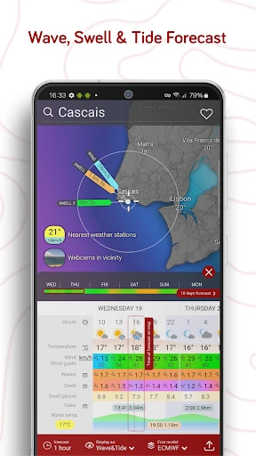 Windy.com - Weather Forecast screenshot