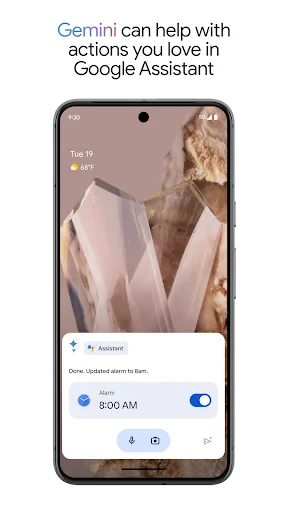 Google Assistant screenshot