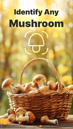 Mushroom Identification screenshot
