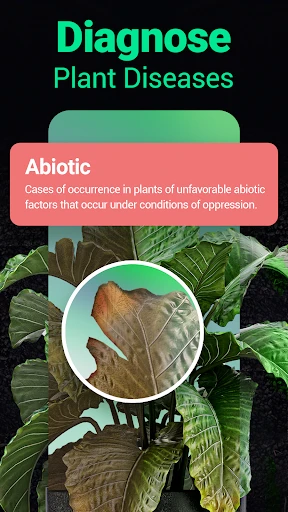 Plantum - Plant Identifier screenshot