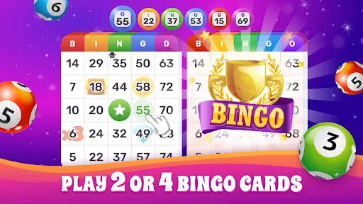 Bingo Lotto: Win Lucky Number screenshot