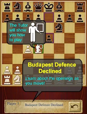 Chess Pro screenshot